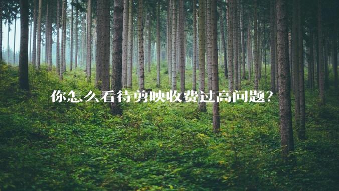 你怎么看待剪映收费过高问题？