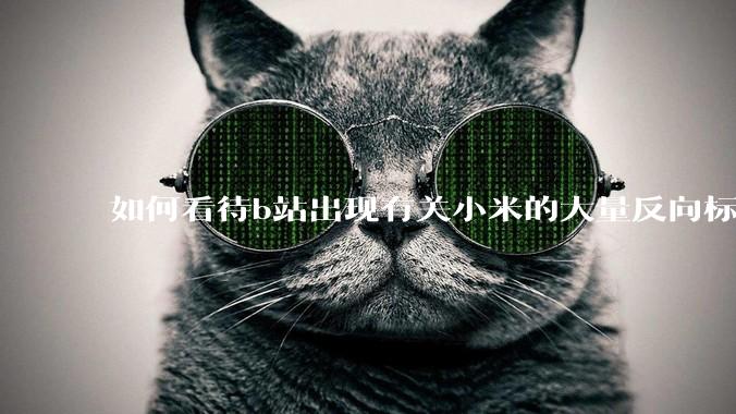 如何看待b站出现有关小米的大量反向标题，号称“薅千亿补贴”的现象？