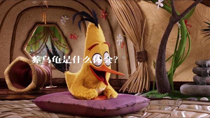 养乌龟是什么体会？