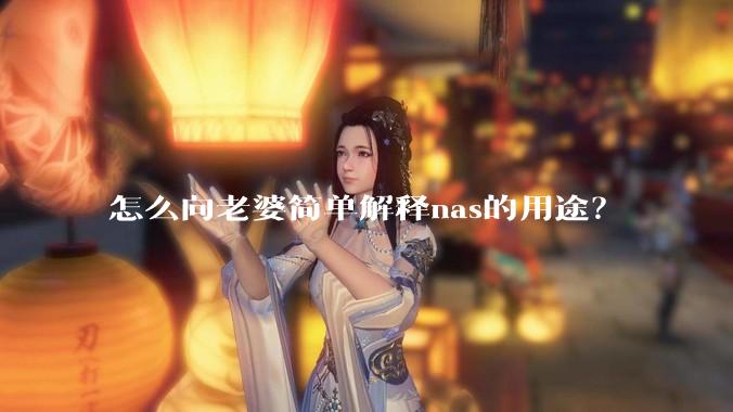 怎么向老婆简单解释nas的用途？